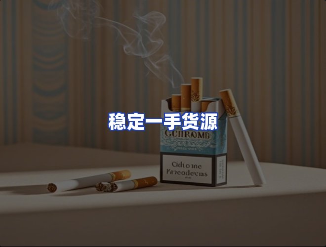 专业团队